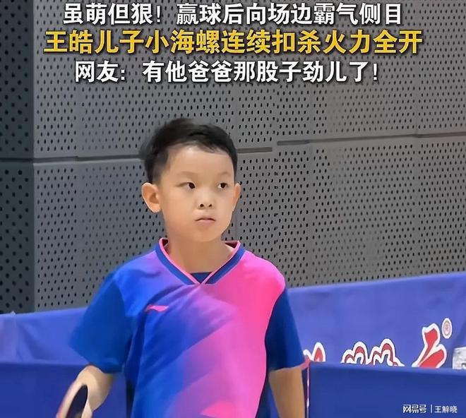 包含奥地利乒乓球队碾压瑞典乒乓球队，王皓惊艳世界的词条