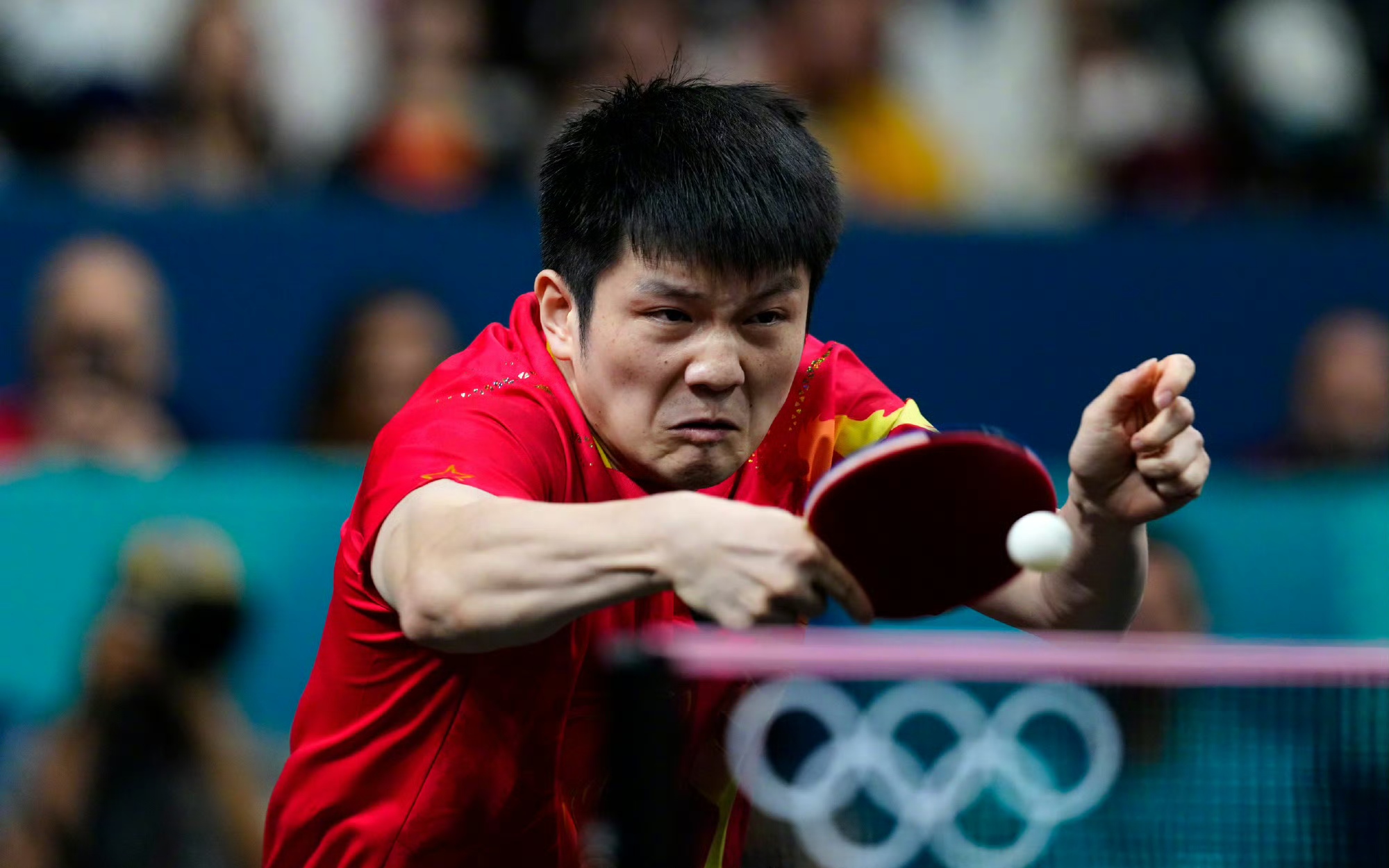 法国乒乓球队强势瑞典乒乓球队，樊振东关键制胜的简单介绍