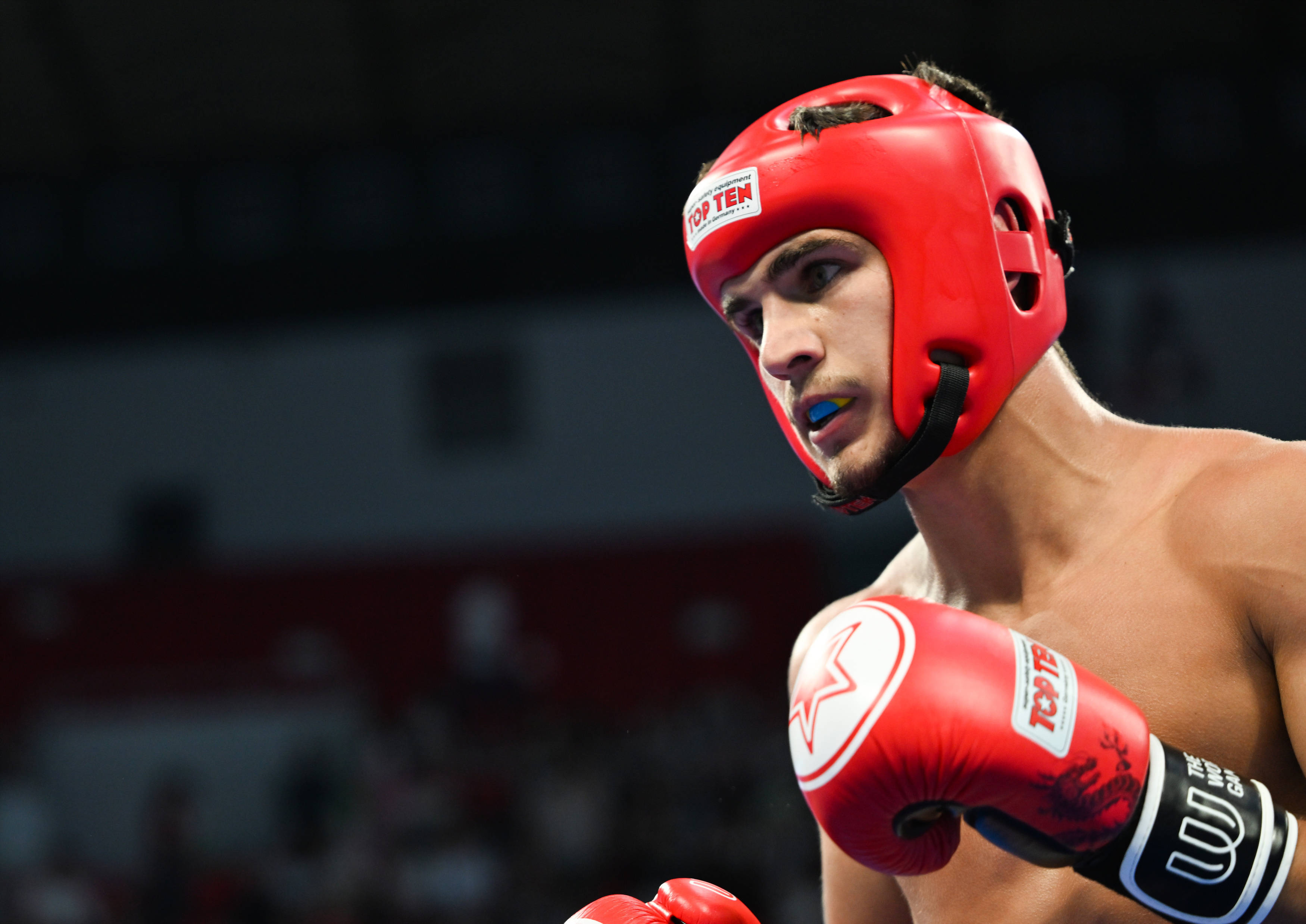 马术场上,乌克兰骑手实力胜出 马术场上,乌克兰骑手实力胜出