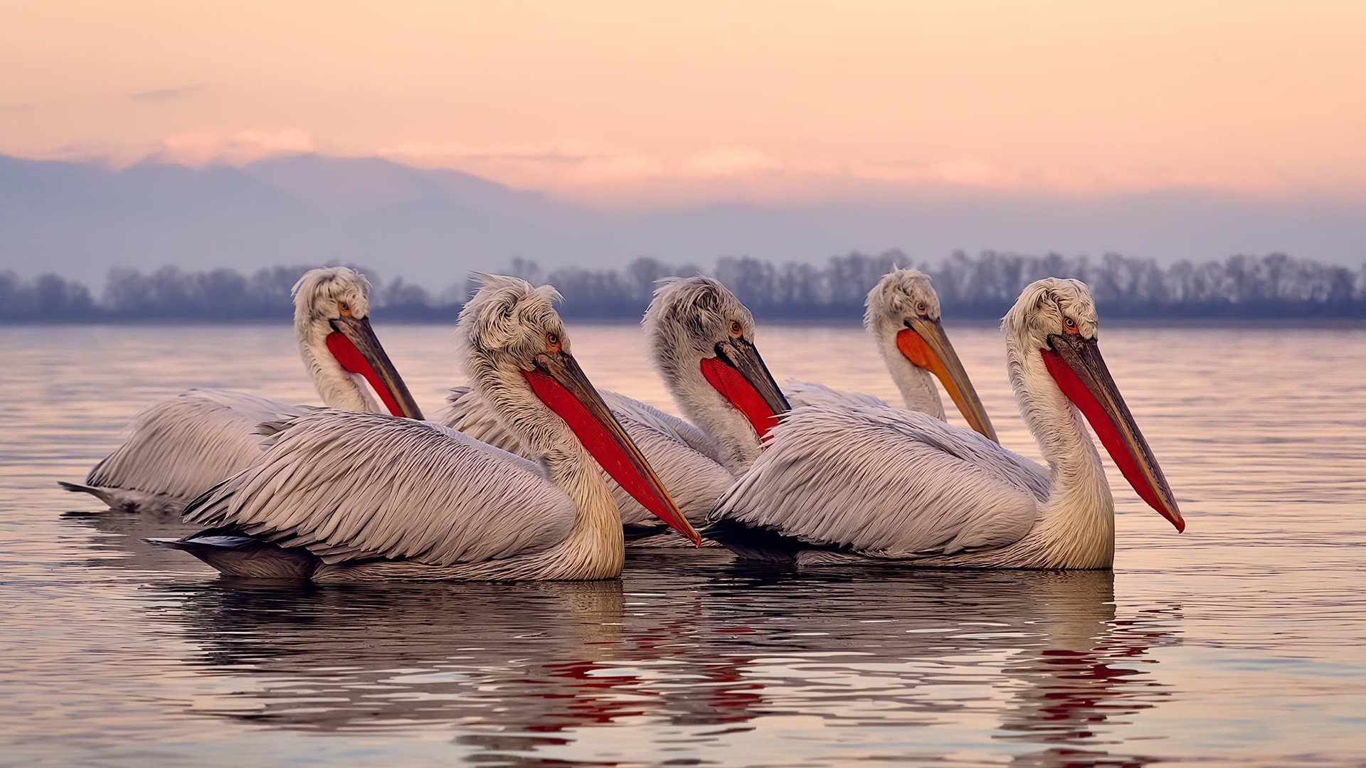 马赛的东方收割，斯通斯如何成为击溃韩国的关键先生